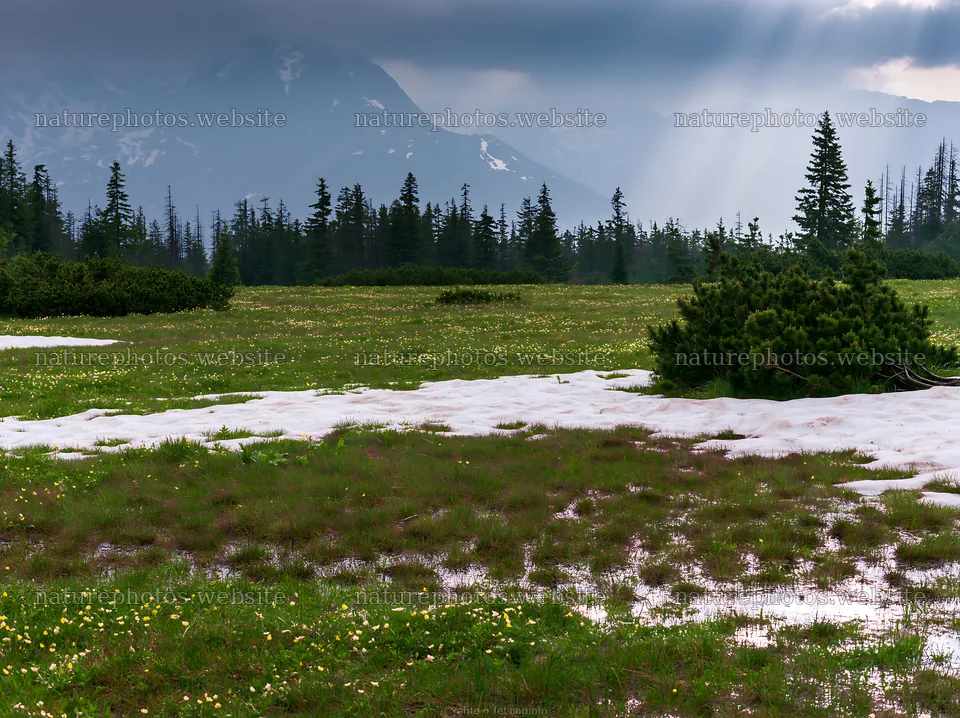 Tatra mountains meadow during spring snowmelt – nature photos 9174x6866