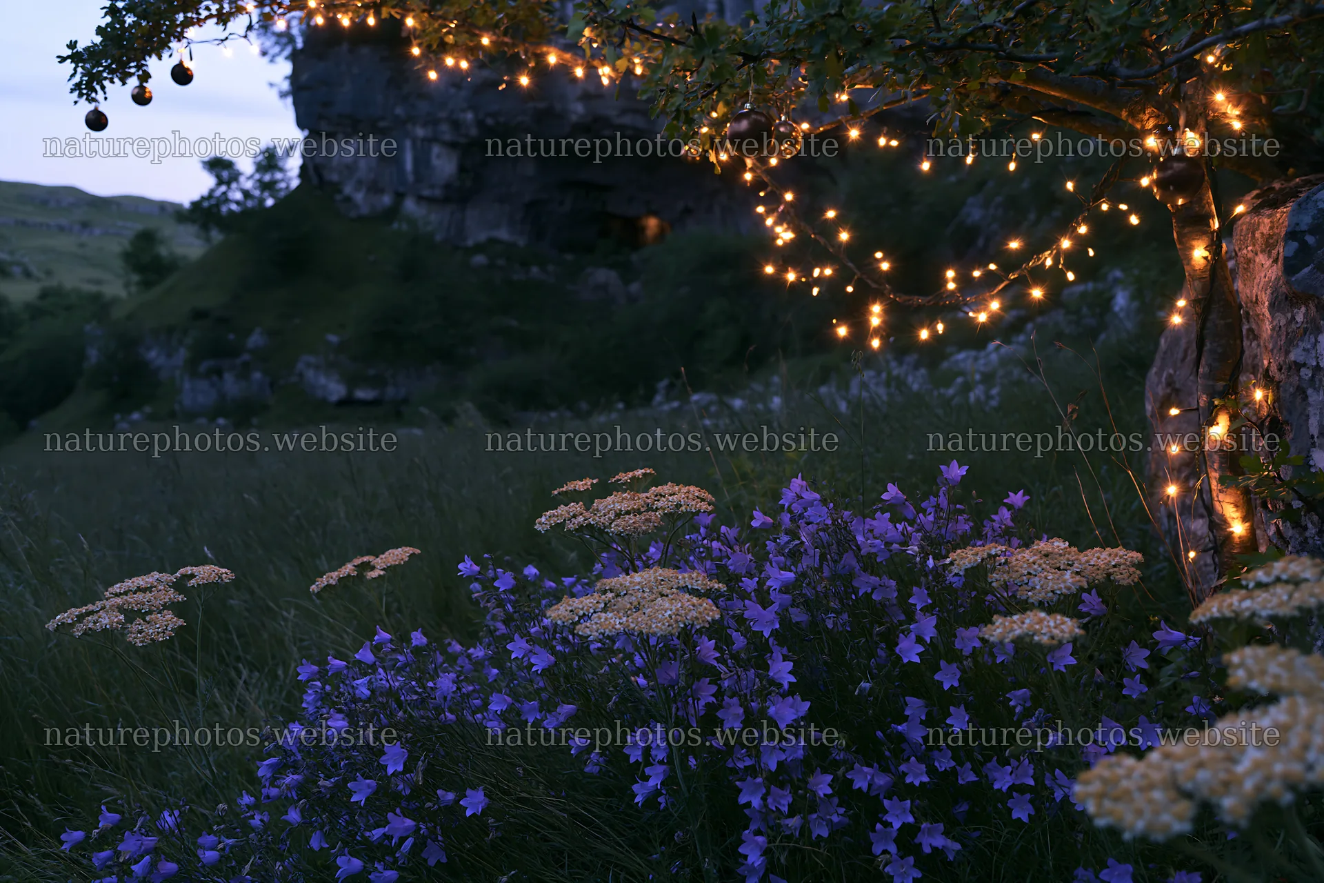 Christmas lights at dusk in meadow near cave – nature photos 9722x6480