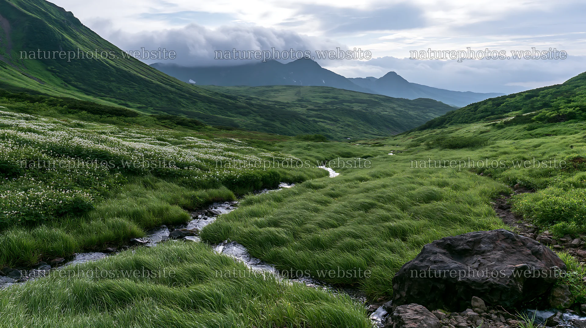 Toyama alpine meadow snowmelt rock foreground – nature photos 10608x5938