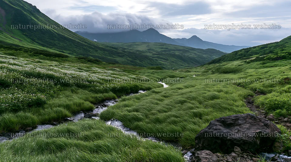 Toyama alpine meadow snowmelt rock foreground – nature photos 10608x5938
