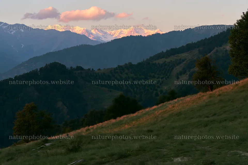 Sunset over an apple meadow with distant mountains – nature photos 9722x6480