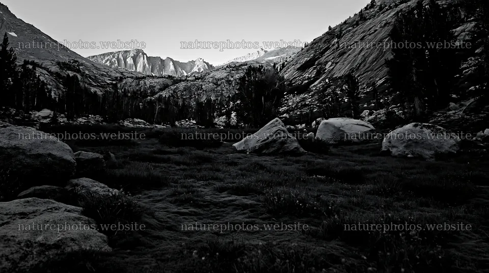 Mossy boulder meadow in a mountain landscape at dusk – nature photos 10608x5938