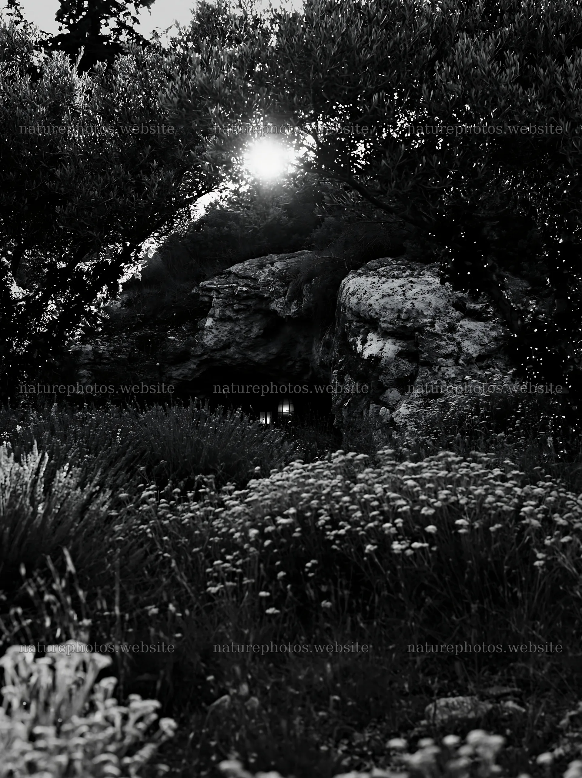 Christmas lanterns beyond cave in meadow – nature photos 6866x9174