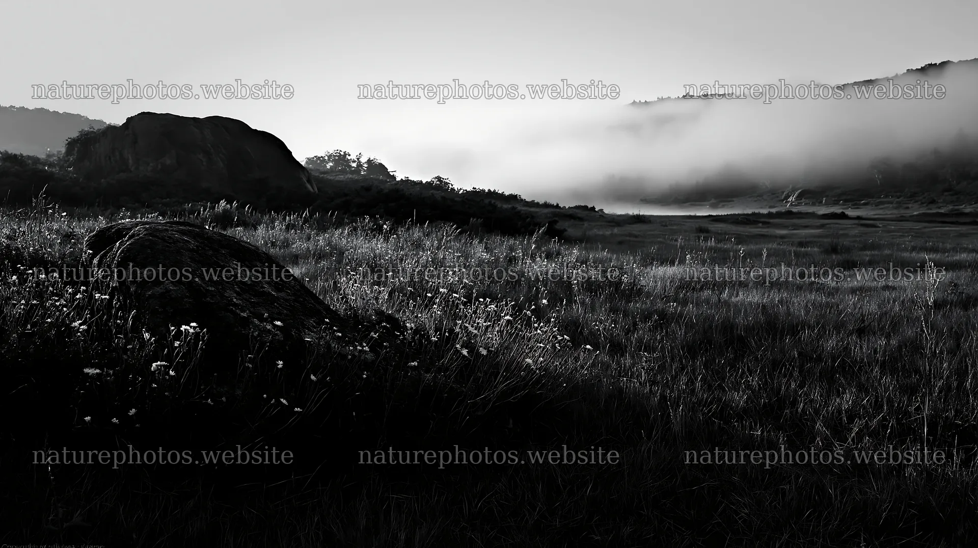 Nagano drought resilient meadow granite boulder in morning mist – nature photos 10608x5938