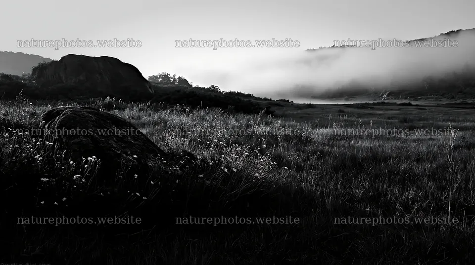 Nagano drought resilient meadow granite boulder in morning mist – nature photos 10608x5938