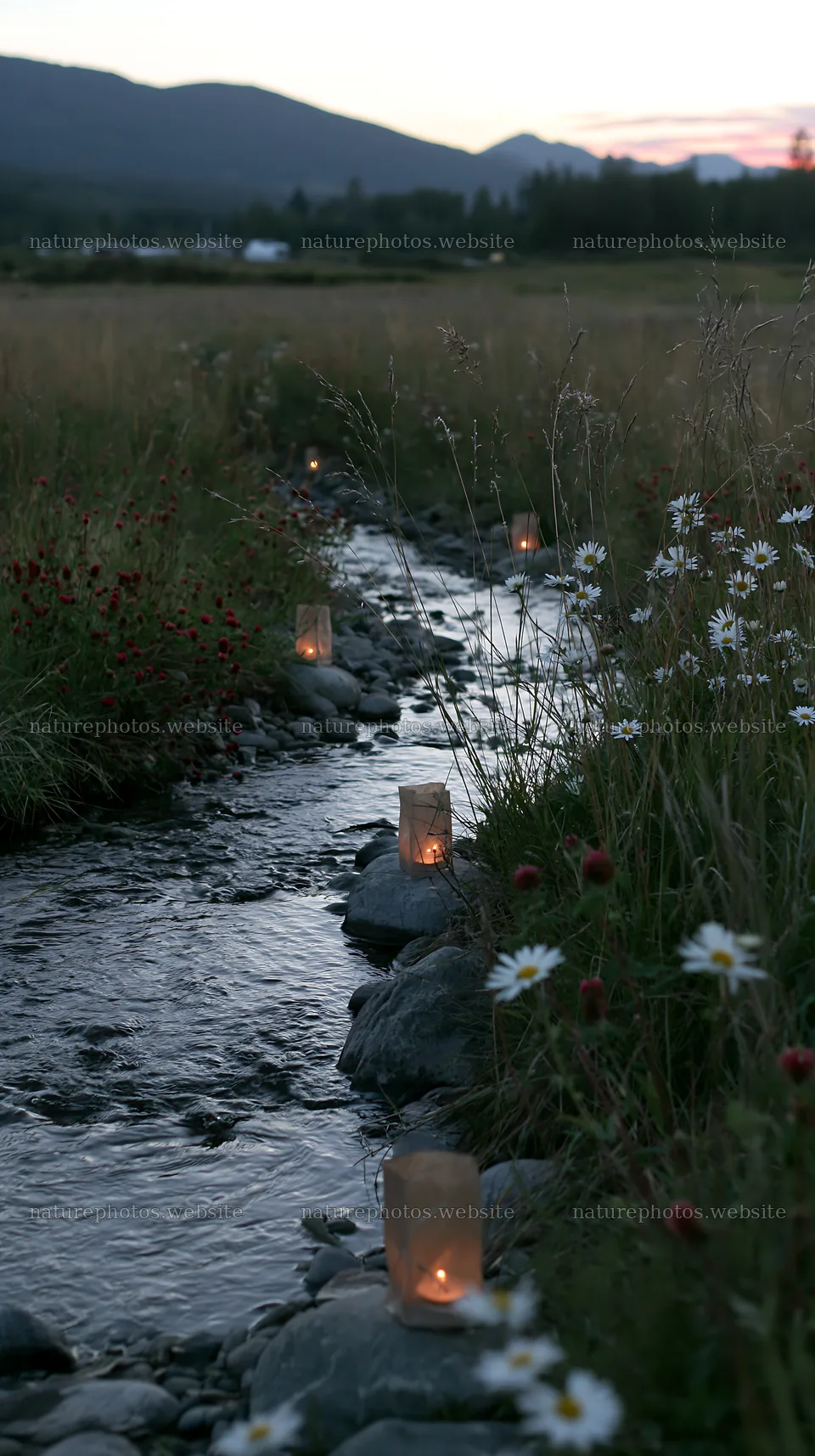 Christmas lanterns along stream in meadow – nature photos 5938x10608