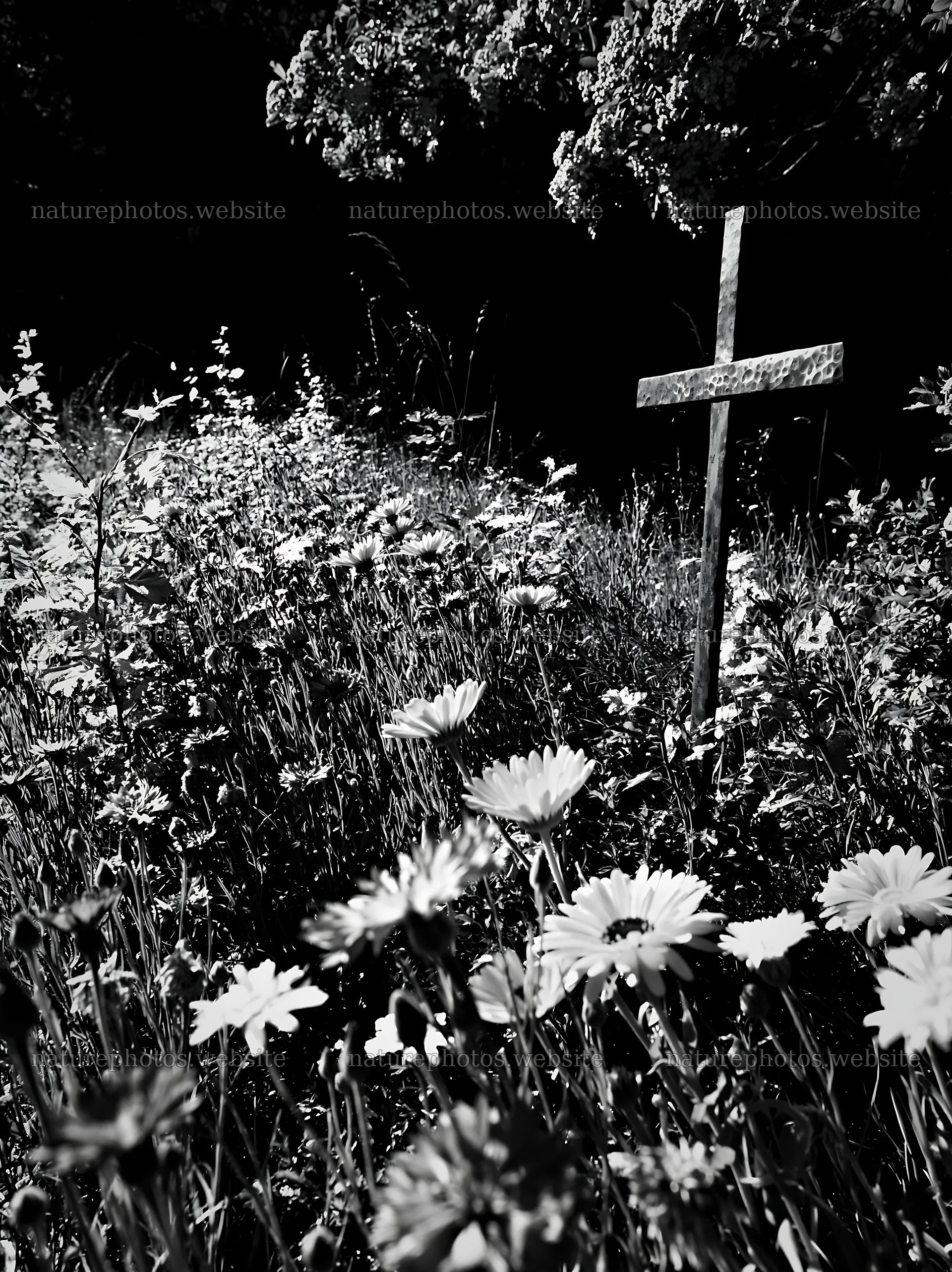 Christian cross in meadow during Christmas season – nature photos 6866x9174
