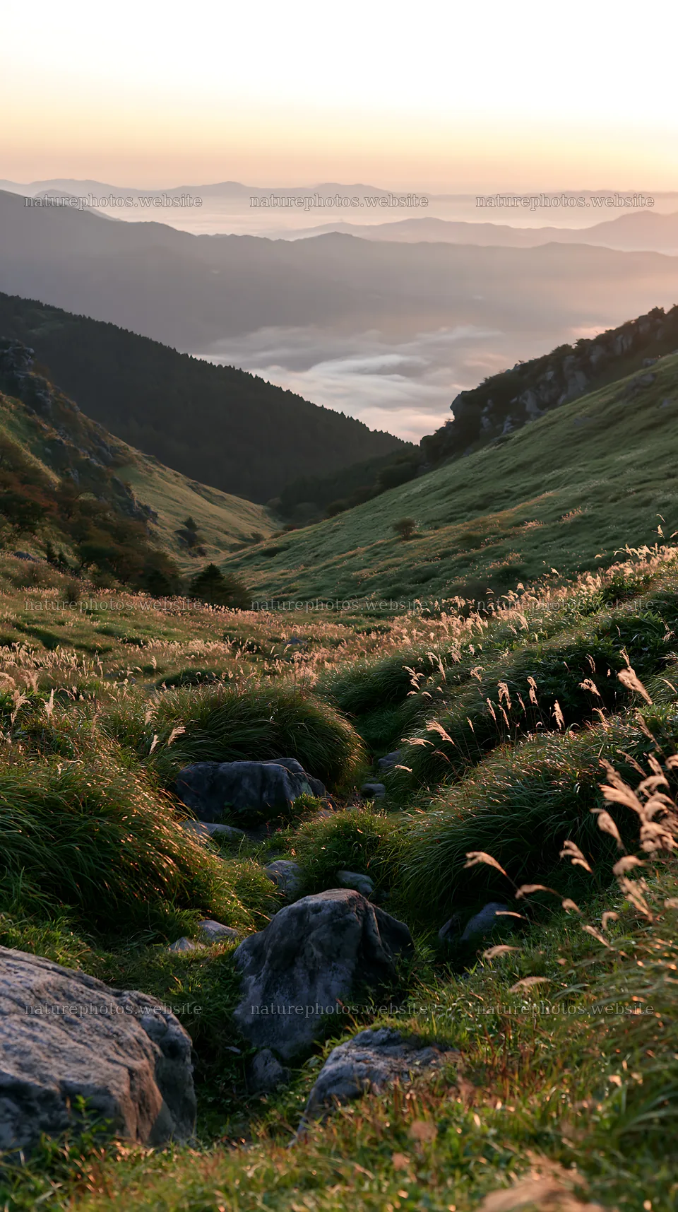 Oita highland meadow with granite stones at sunset – nature photos 5938x10608