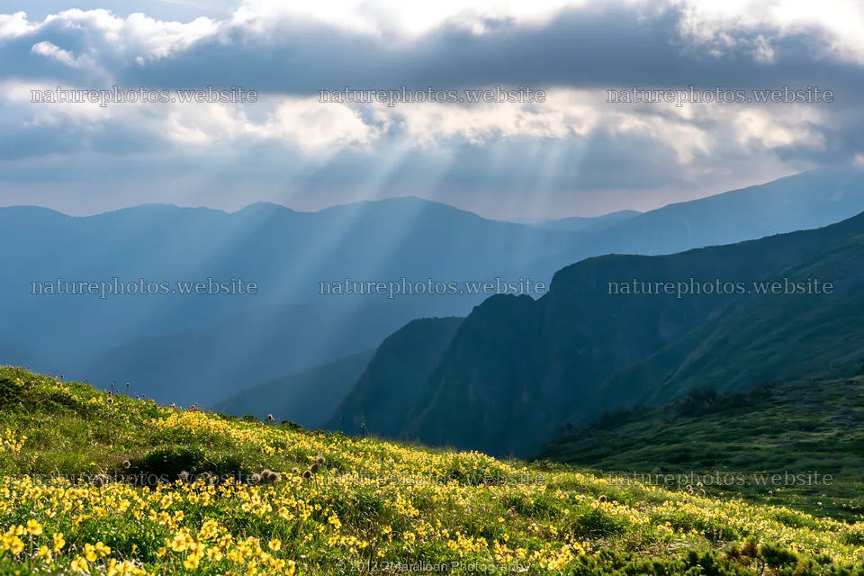 Daisetsuzan alpine meadow with light rays and mountain view – nature photos 9722x6480