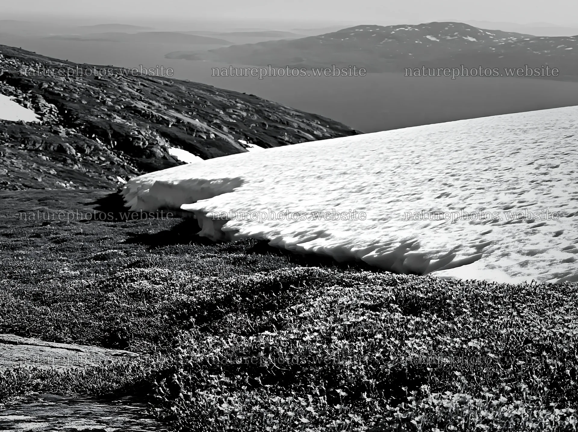 Snow melting on a spring meadow near a body of water – nature photos 9174x6866