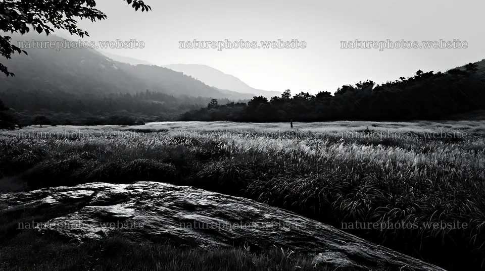 Hiroshima meadow and smooth rock under rainy sky – nature photos 10608x5938