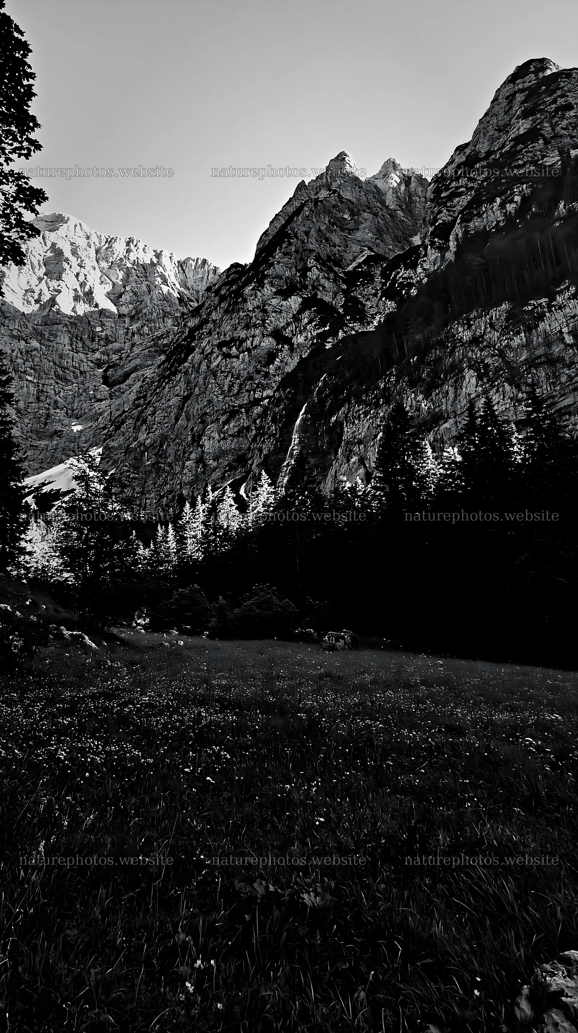 Meadow beneath crags with mountains in the background – nature photos 5938x10608