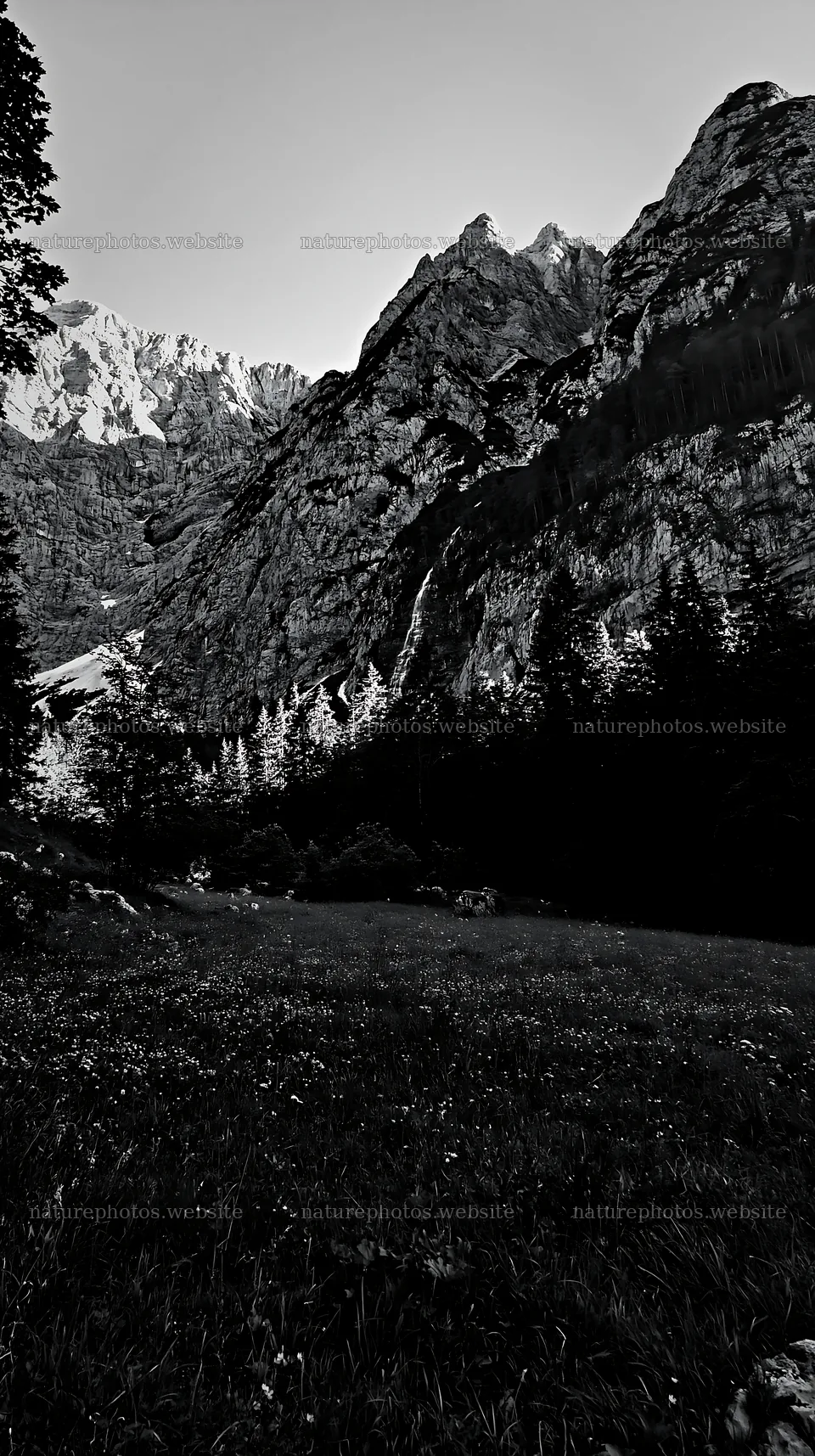 Meadow beneath crags with mountains in the background – nature photos 5938x10608