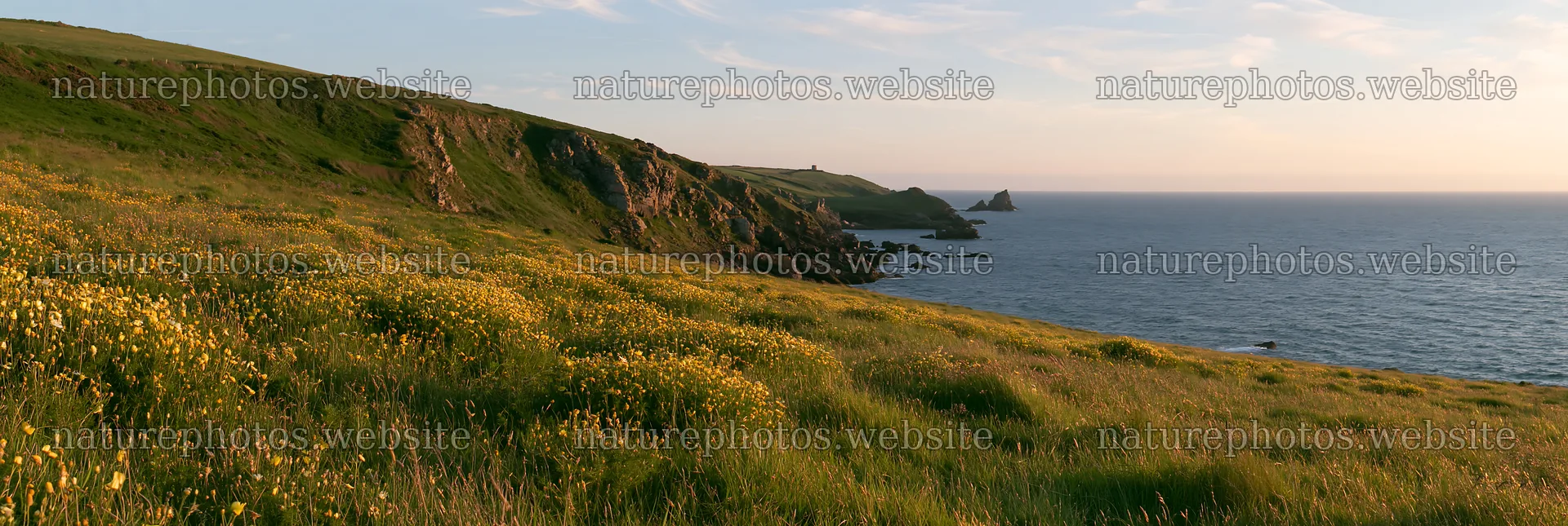 Clifftop meadow overlooking the ocean at sunset – nature photos 13690x4602