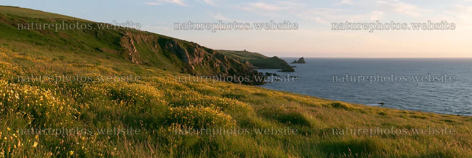 Clifftop meadow overlooking the ocean at sunset – nature photos 13690x4602