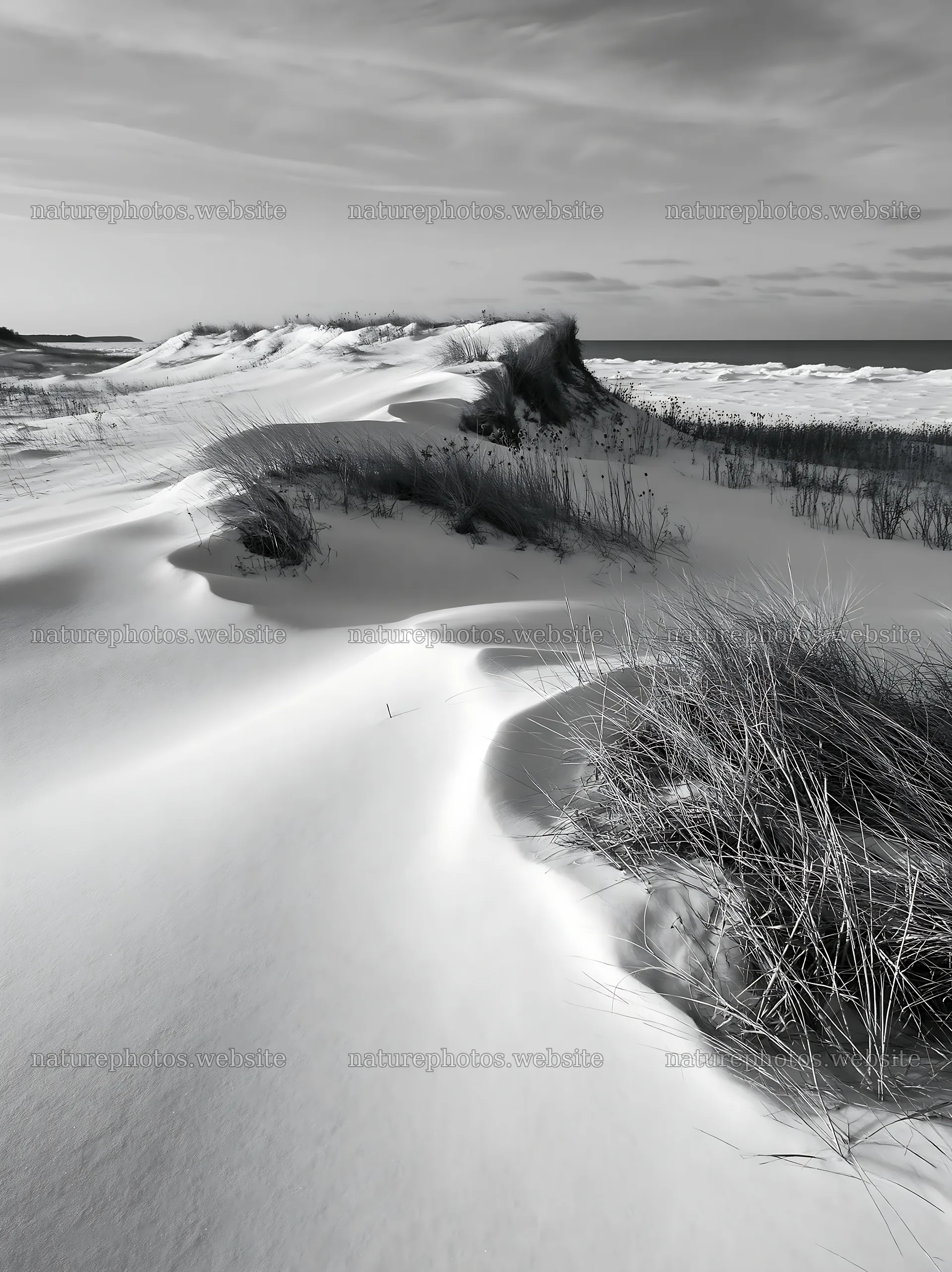 Dune meadow covered in snow with grasses in the foreground – nature photos 6866x9174