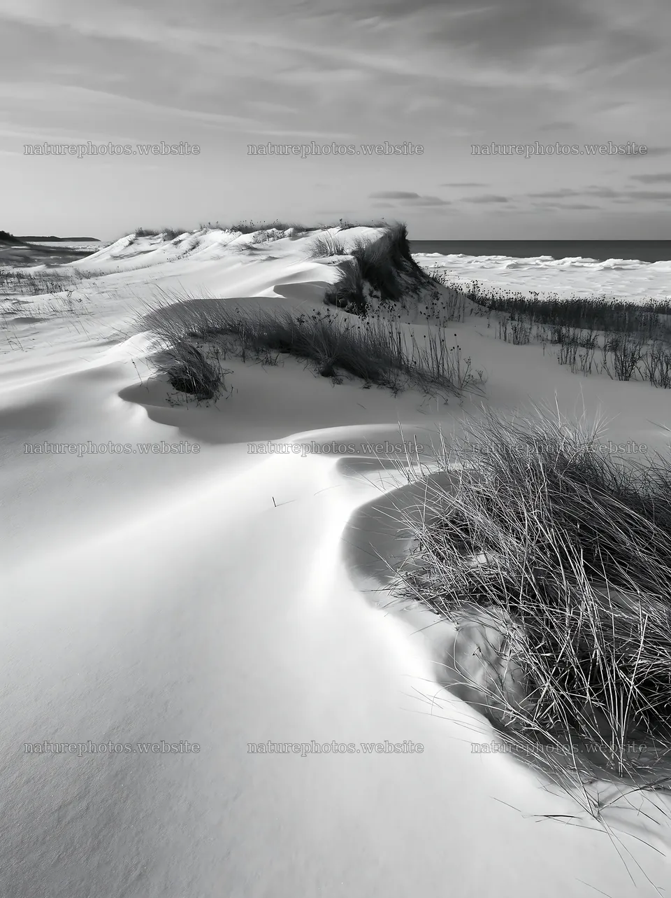 Dune meadow covered in snow with grasses in the foreground – nature photos 6866x9174