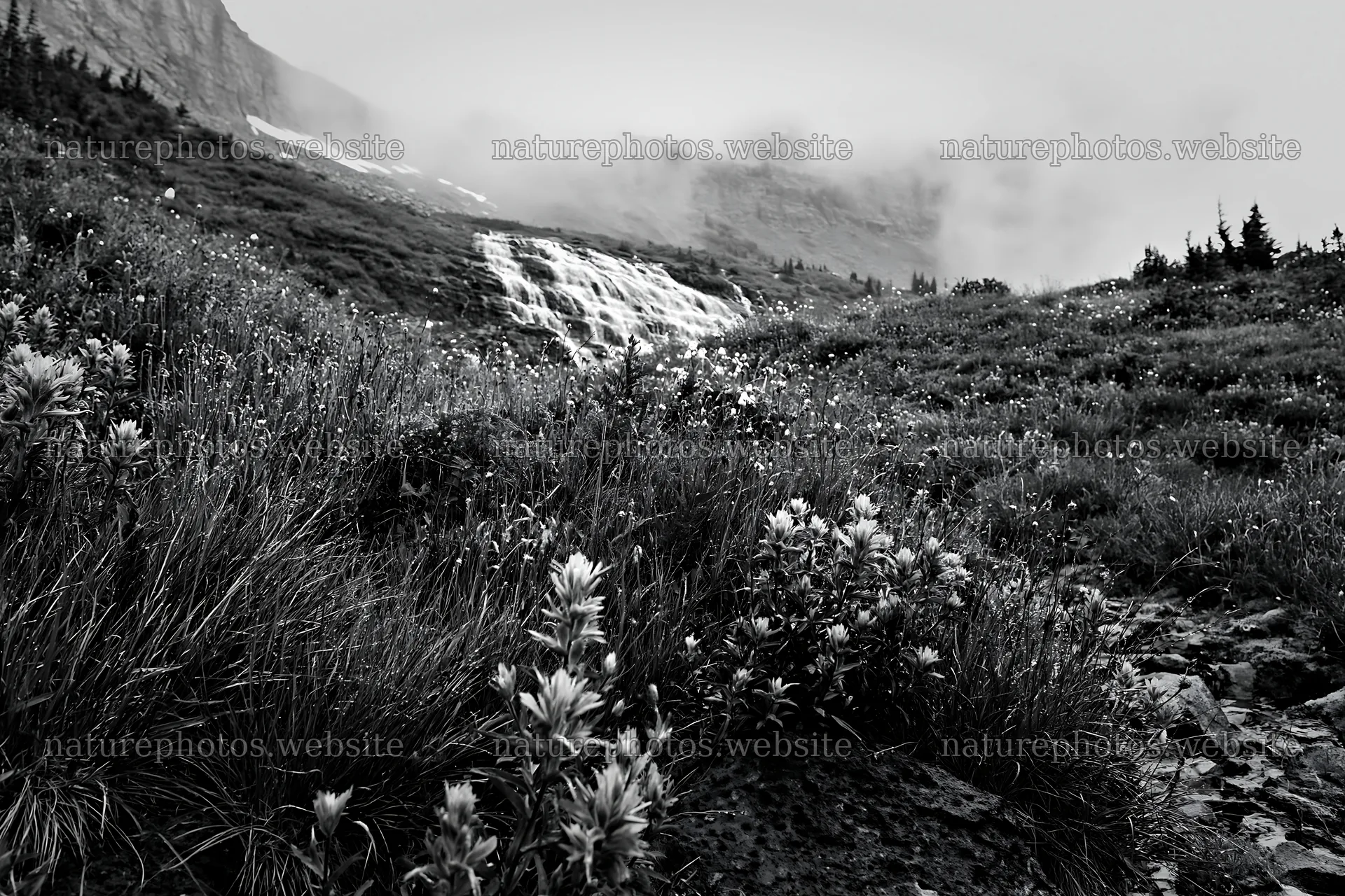 Misty mountain waterfall in a grassy meadow – nature photos 9722x6480
