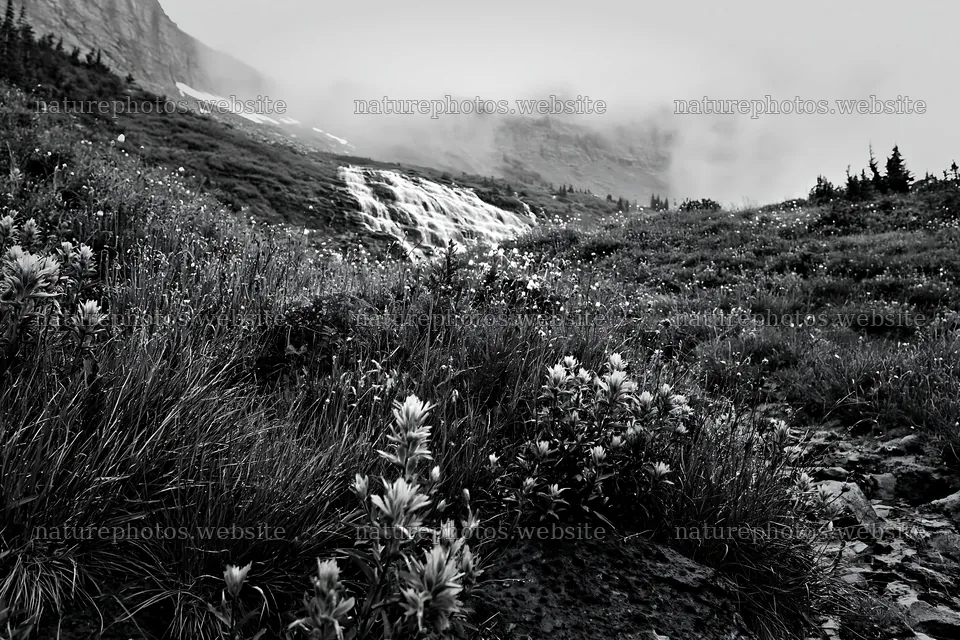 Misty mountain waterfall in a grassy meadow – nature photos 9722x6480