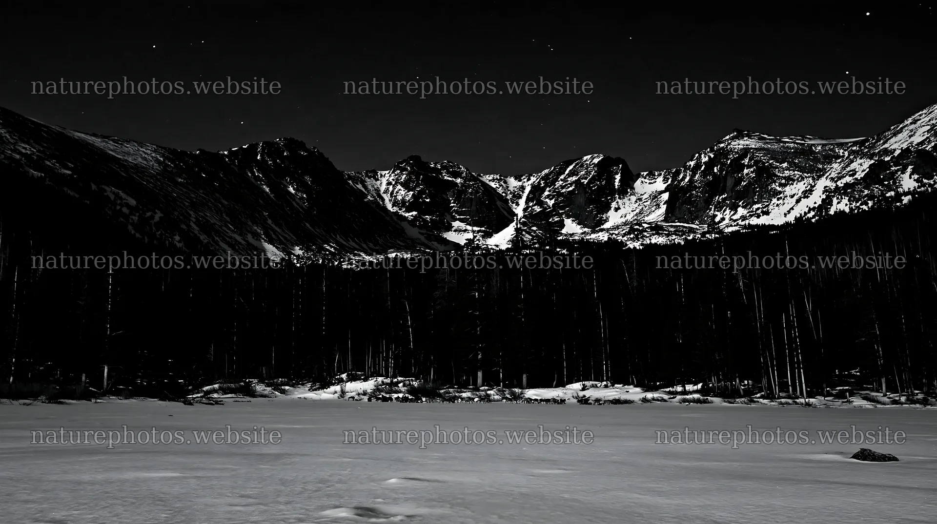 Snowy Rocky Mountain Park meadow under a night sky – nature photos 10608x5938