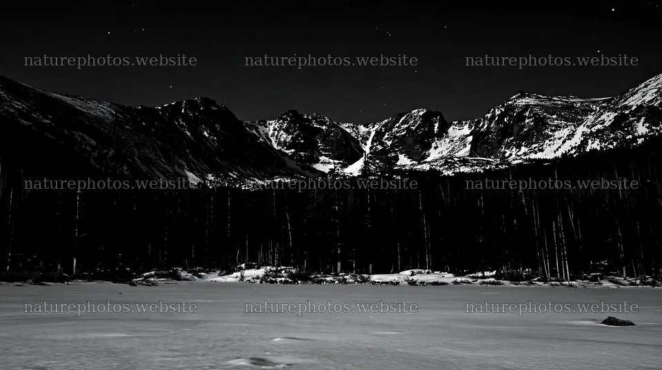 Snowy Rocky Mountain Park meadow under a night sky – nature photos 10608x5938