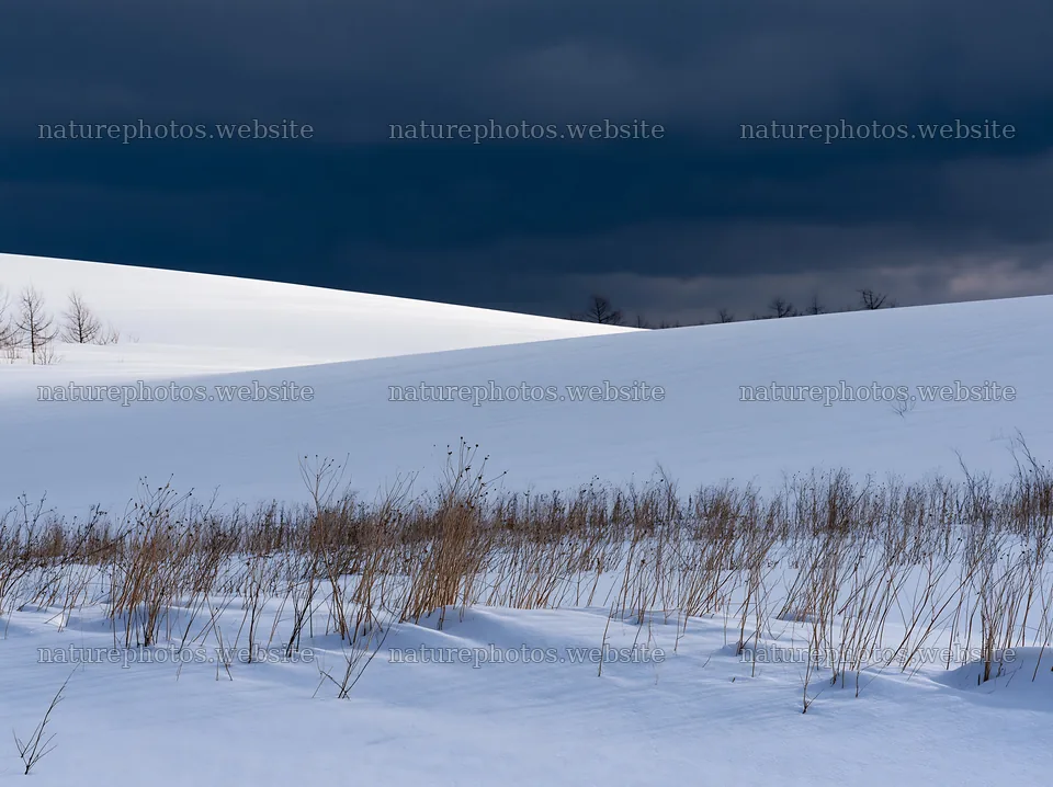 Snow covered hills and meadow in Biei – nature photos 9174x6866