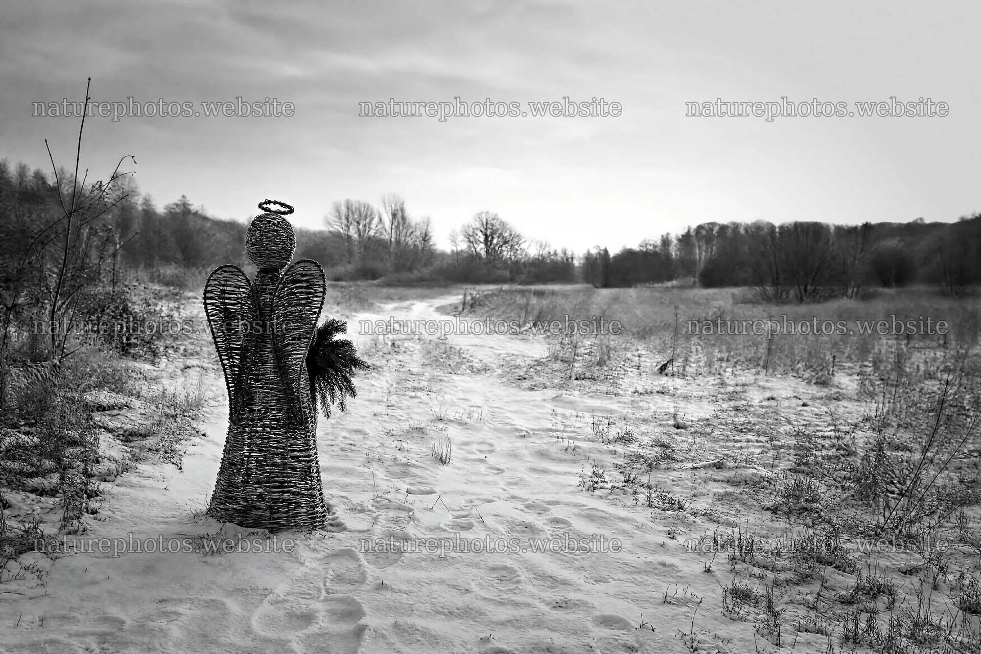 Winter angel statue stands in a snowy meadow – nature photos 9722x6480