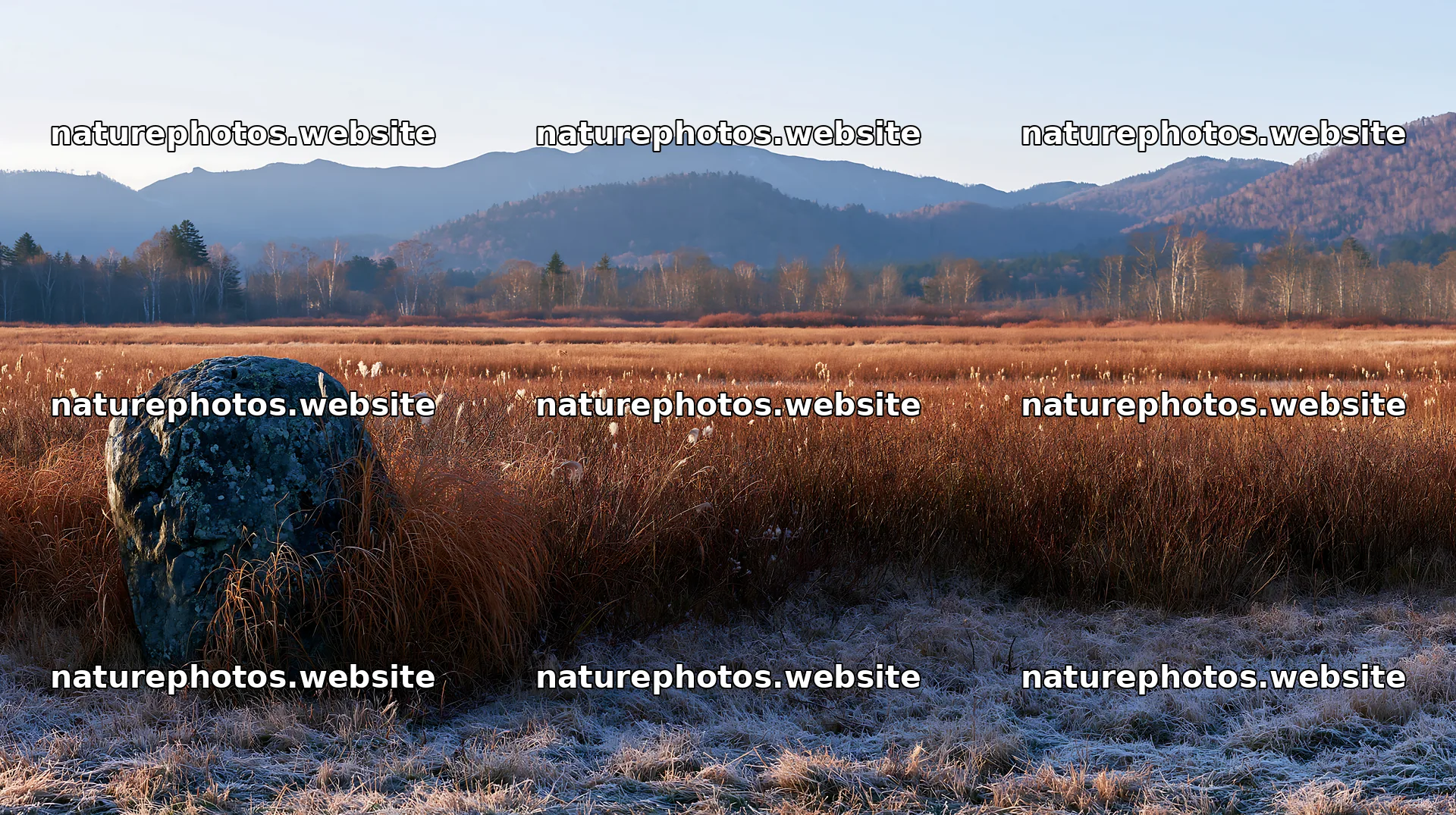 Aomori climate resilient meadow with boulder – nature photos 10608x5938