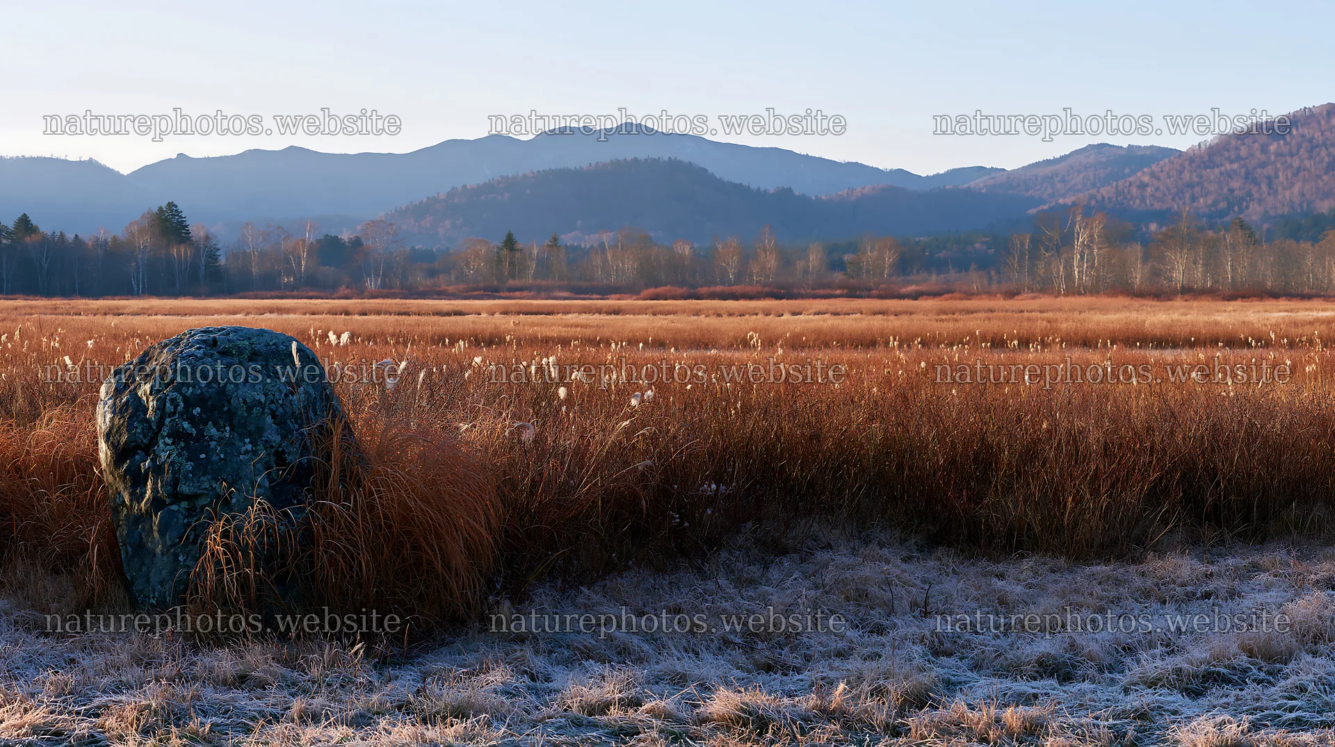 Aomori climate resilient meadow with boulder – nature photos 10608x5938