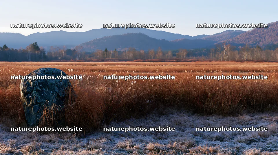 Aomori climate resilient meadow with boulder – nature photos 10608x5938