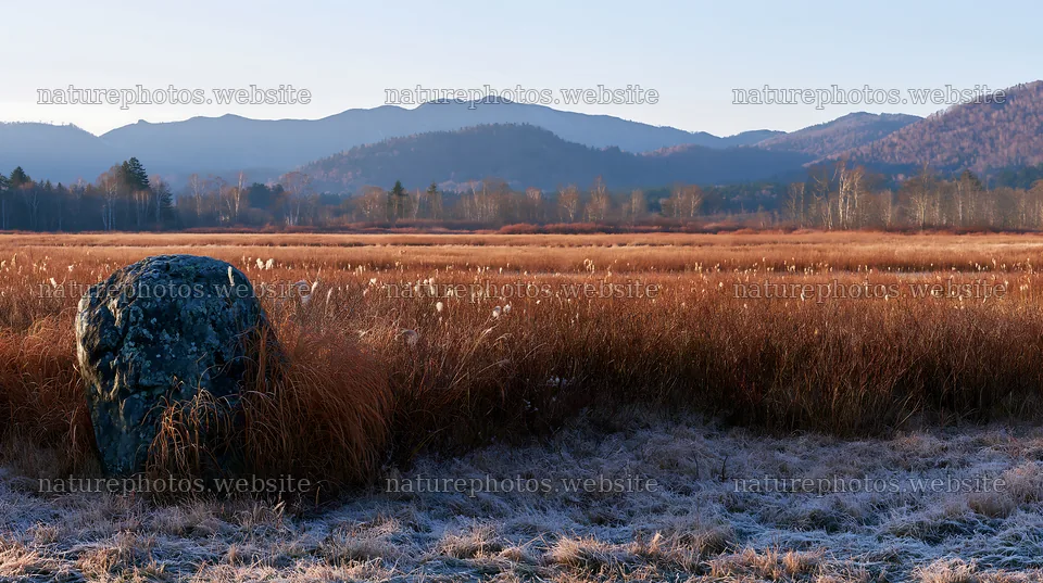 Aomori climate resilient meadow with boulder – nature photos 10608x5938