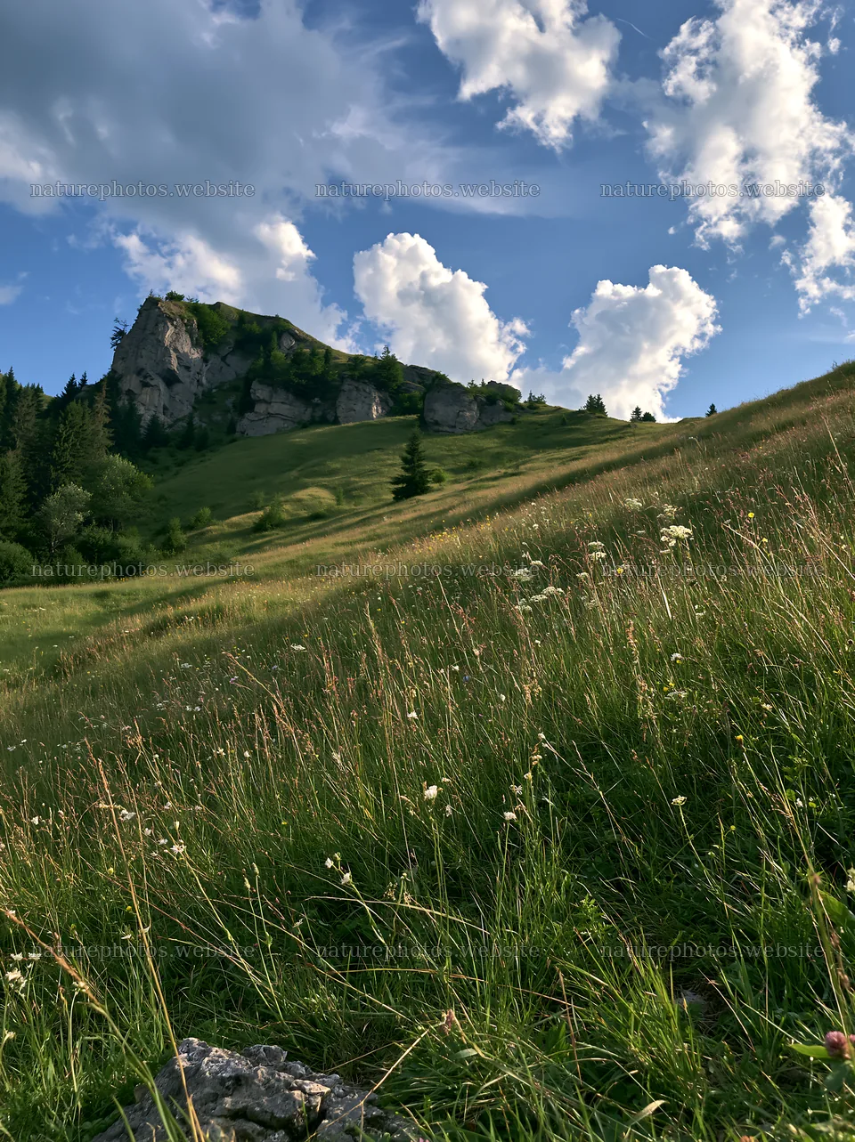 Transylvania summer hay meadows with rocky hills in background – nature photos 6866x9174