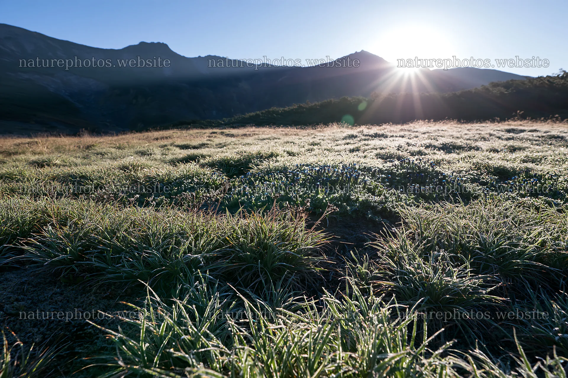 Light rays over Daisetsuzan alpine meadow at dawn – nature photos 9722x6480