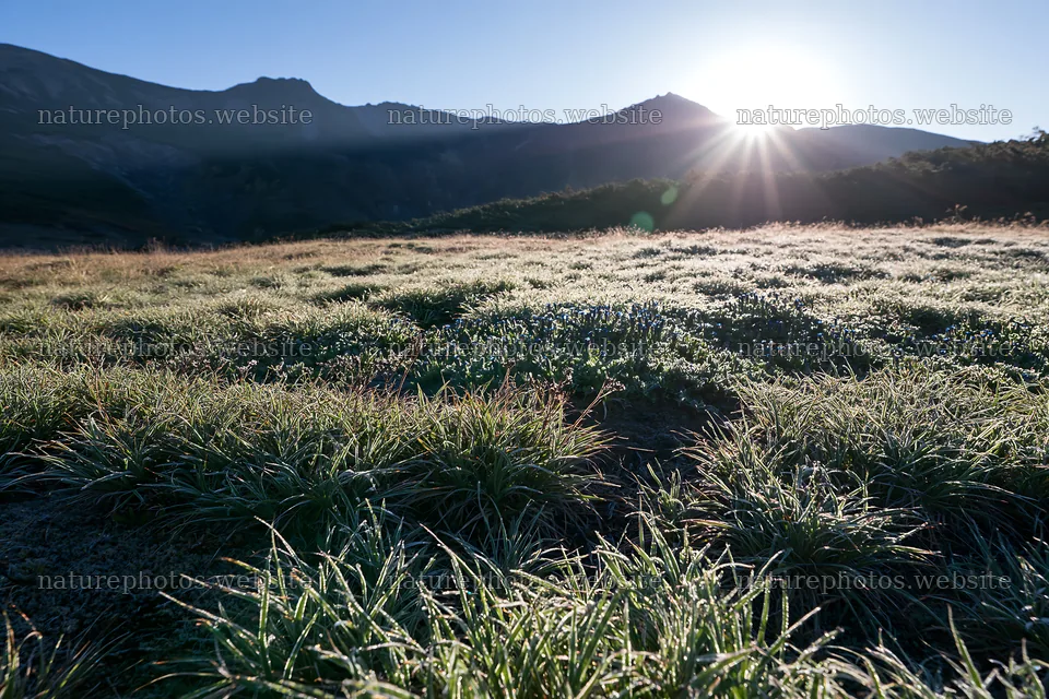 Light rays over Daisetsuzan alpine meadow at dawn – nature photos 9722x6480