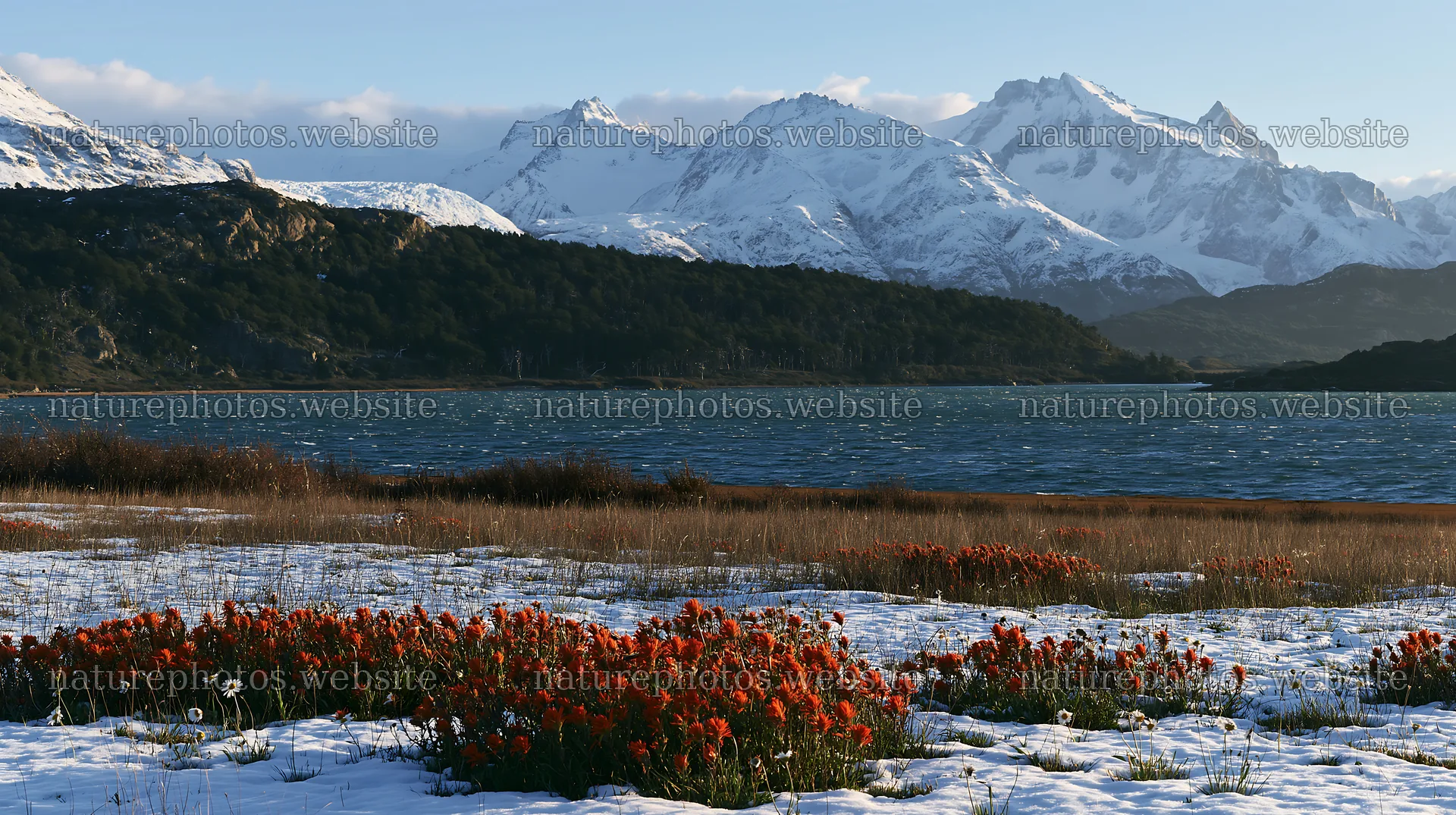 Lakeside meadow after first snowfall with flowers and mountains – nature photos 10608x5938