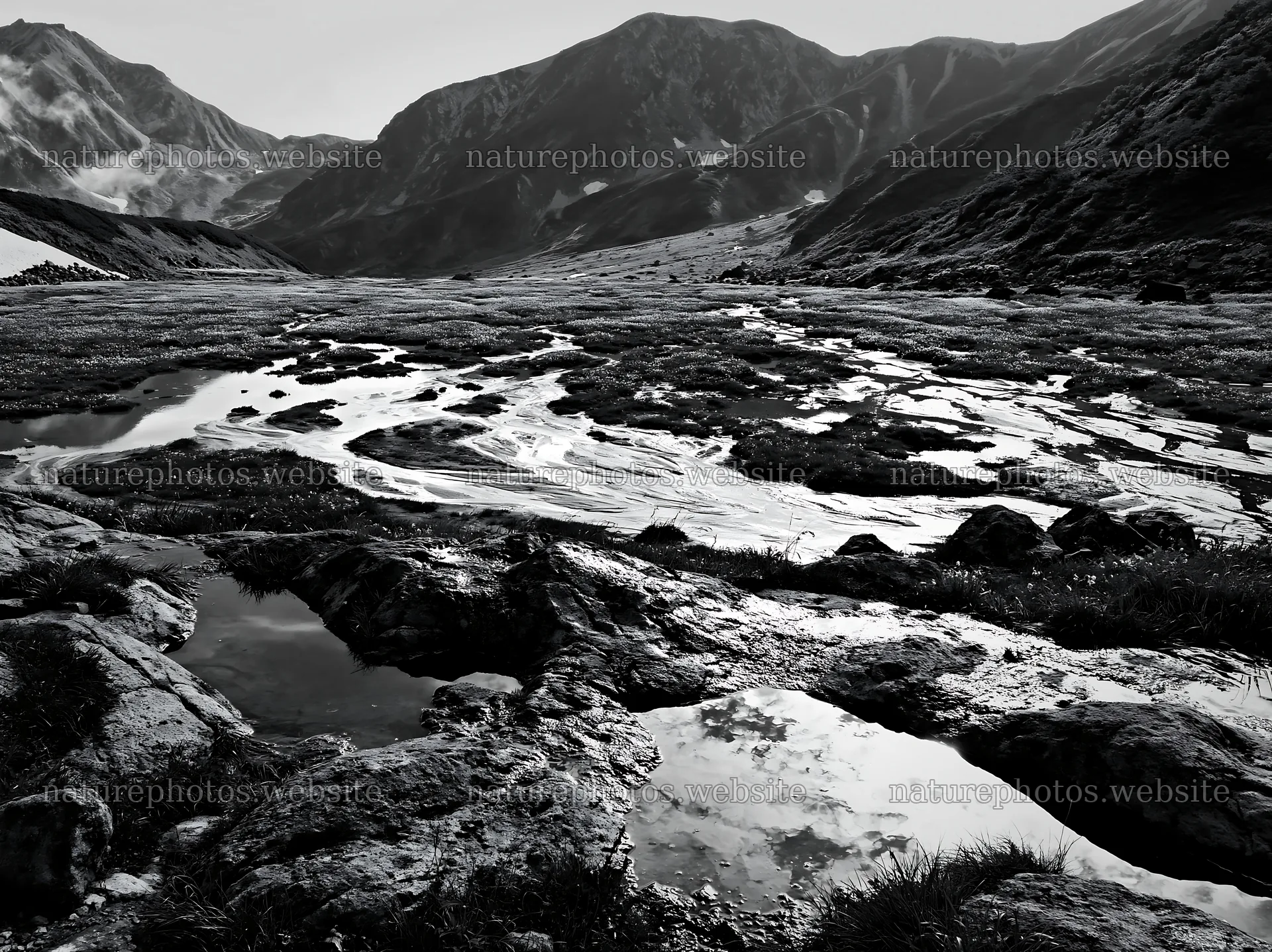 Toyama alpine meadow snowmelt rock foreground – nature photos 9174x6866