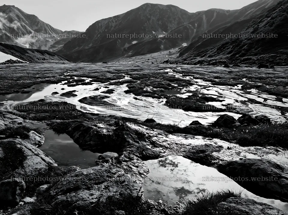 Toyama alpine meadow snowmelt rock foreground – nature photos 9174x6866