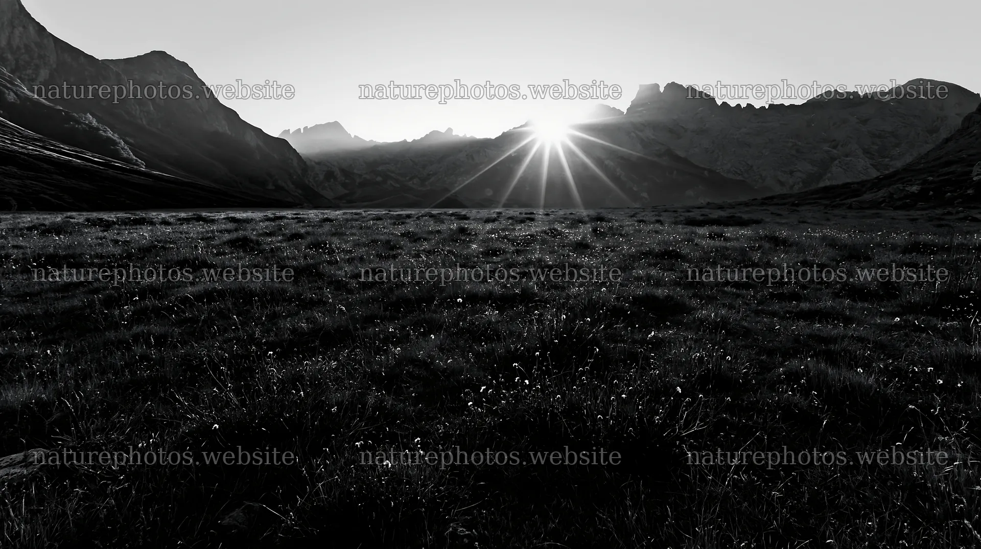 Sunrays over Picos de Europa meadow at dawn – nature photos 10608x5938
