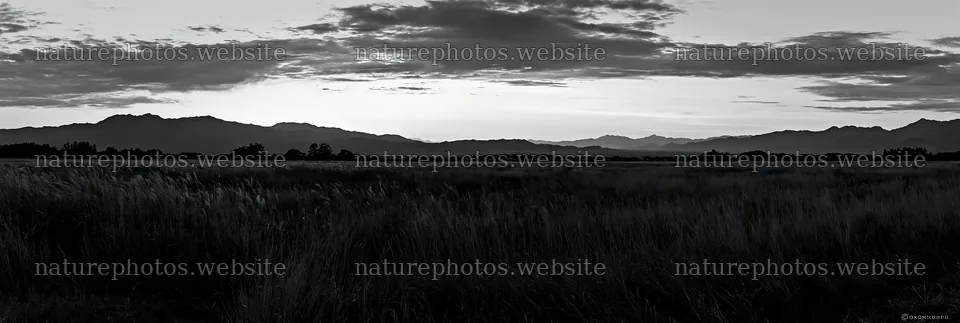 Aichi restored meadow autumn seedheads foreground – nature photos 13690x4602