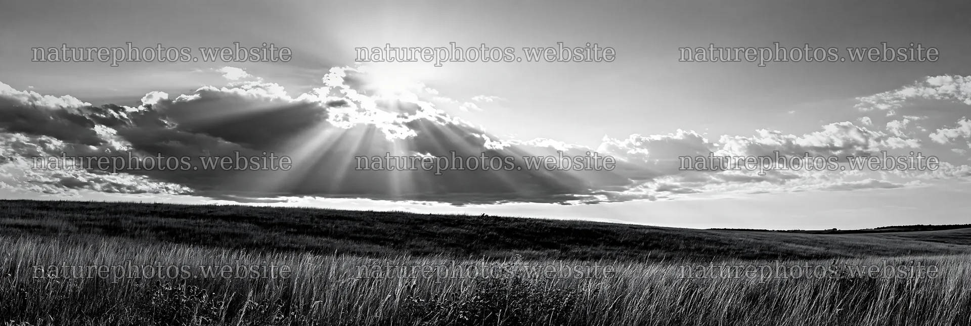 Crepuscular rays over a grassy meadow at sunset – nature photos 13690x4602