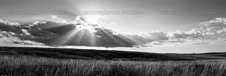 Crepuscular rays over a grassy meadow at sunset – nature photos 13690x4602