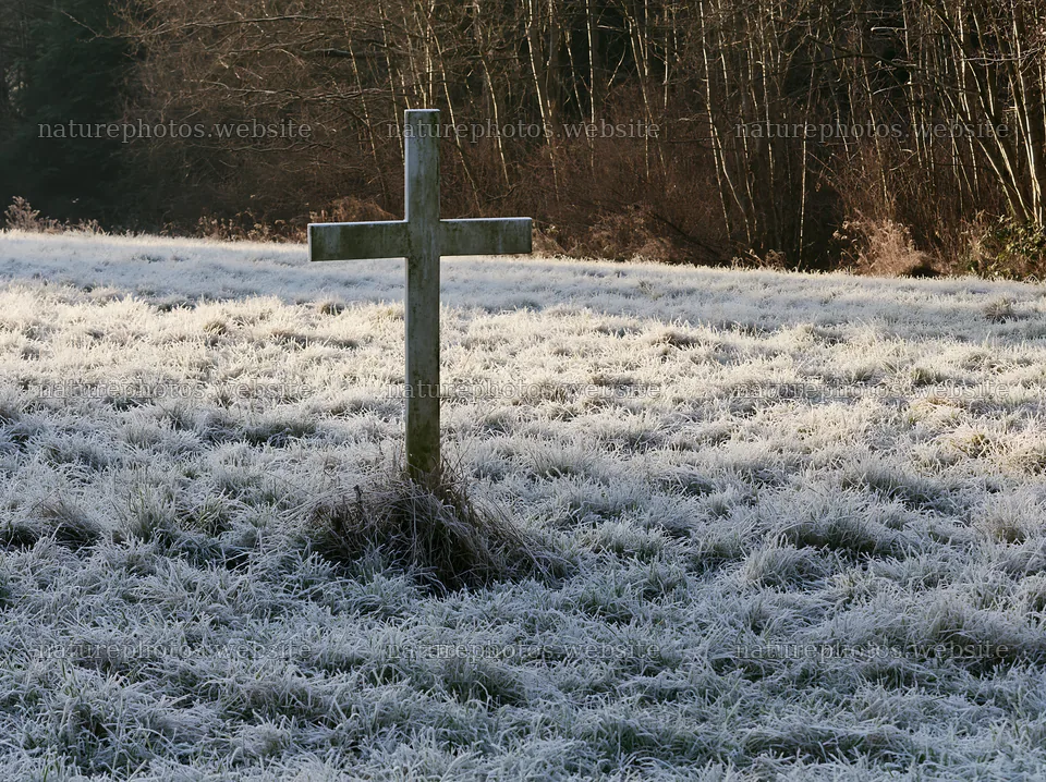 Whitewashed Christian cross in winter meadow with frost – nature photos 9174x6866