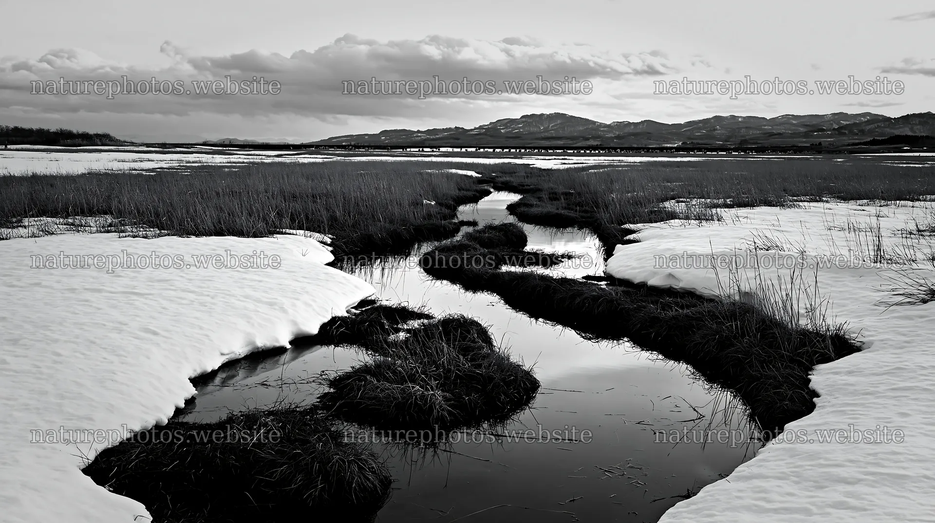 Akita snowmelt meadow with silver grasses and water stream – nature photos 10608x5938
