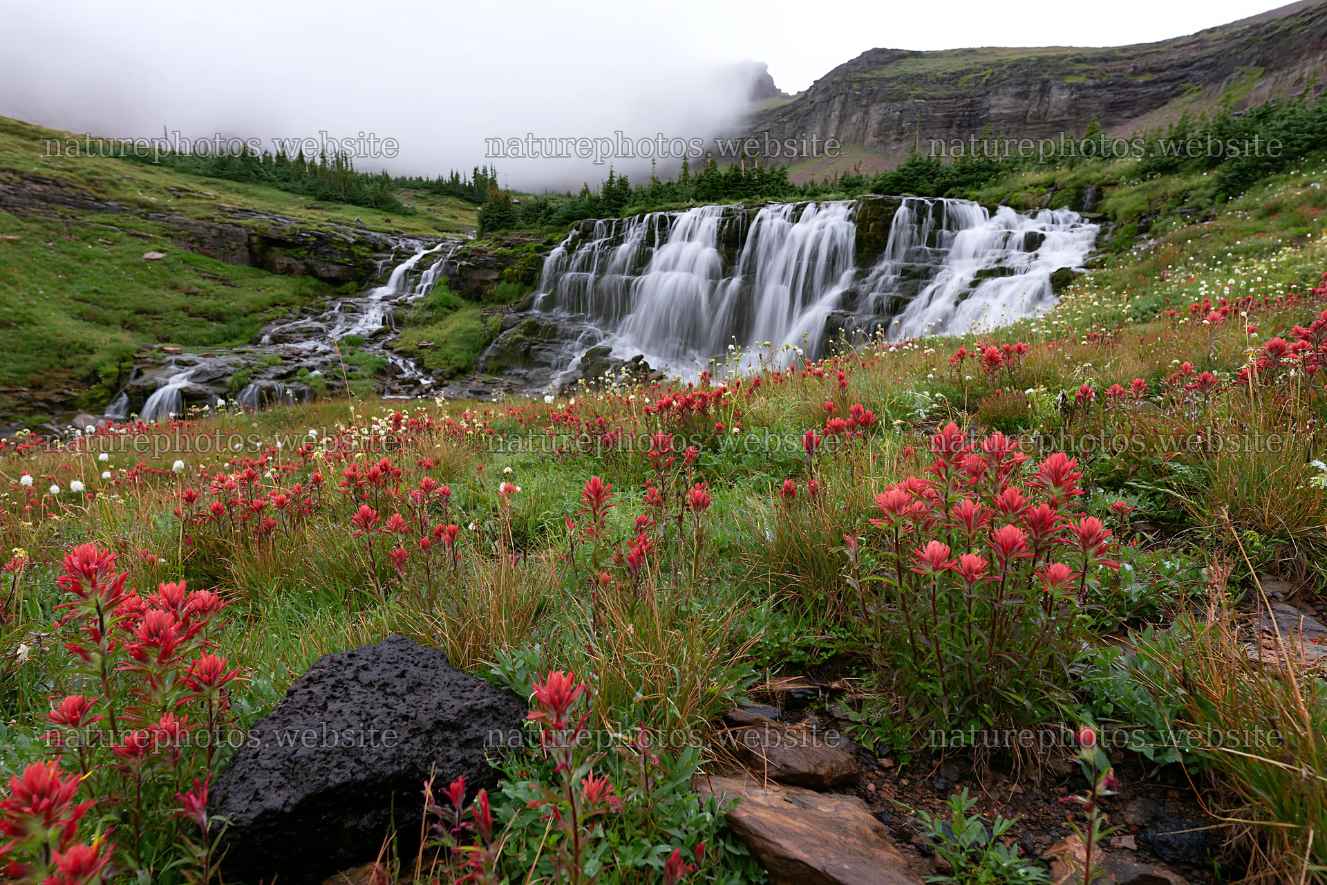Misty mountain waterfall with flowers in a meadow – nature photos 9722x6480