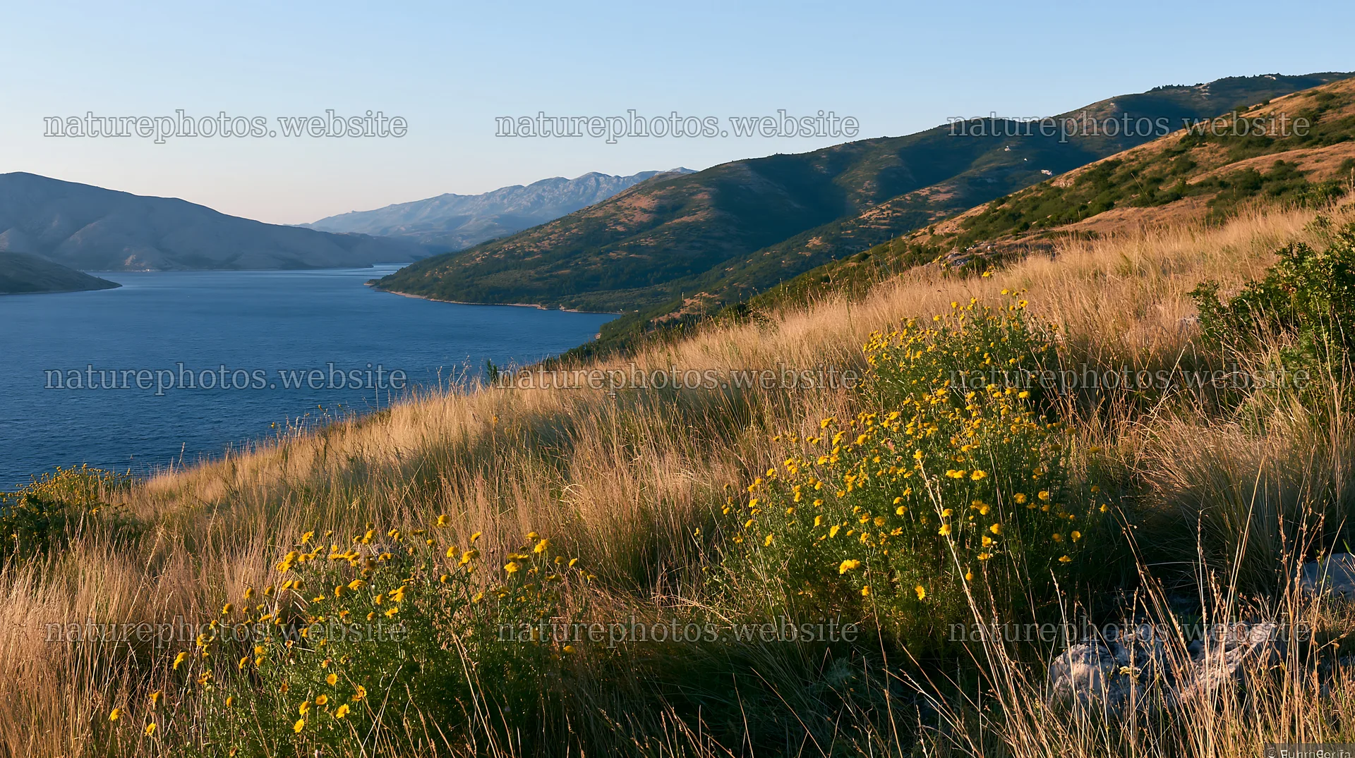 Croatian meadow above Adriatic coast during sunset – nature photos 10608x5938