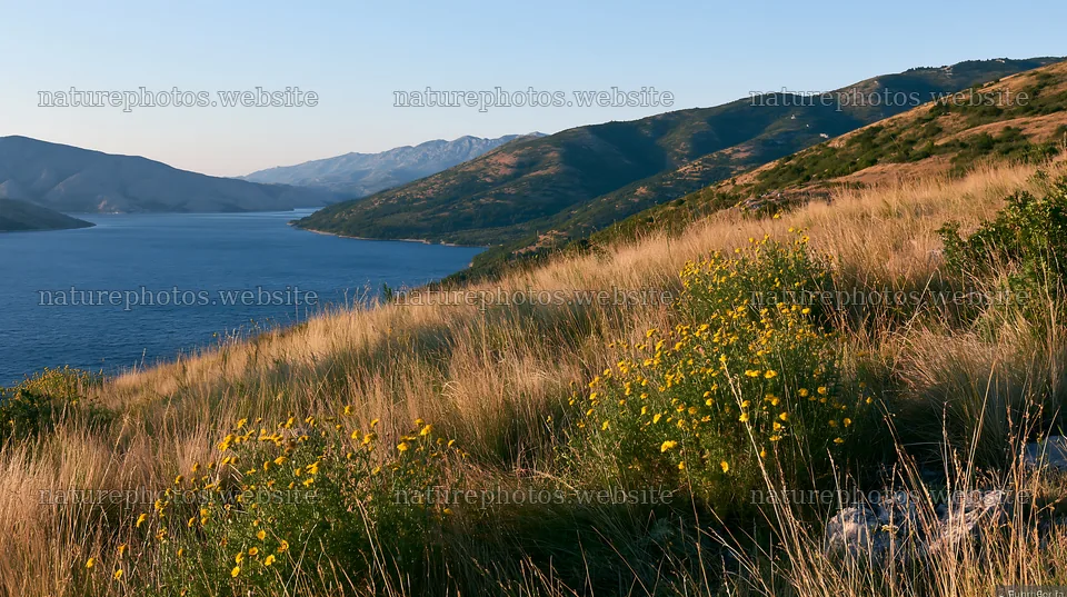 Croatian meadow above Adriatic coast during sunset – nature photos 10608x5938