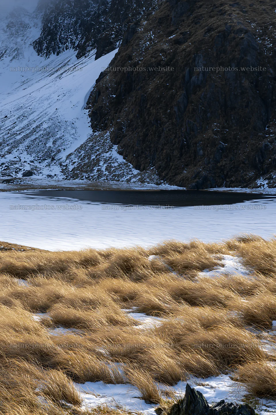 Frozen tarn meadow with grasses and mountains in winter – nature photos 6480x9722