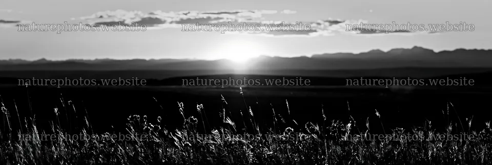 Meadow seedheads backlit at dusk – nature photos 13690x4602