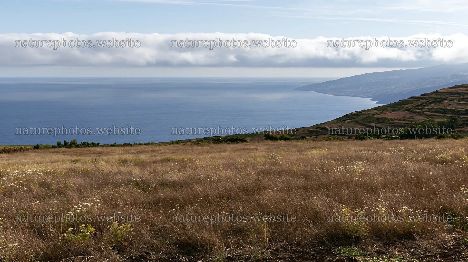 Meadow landscape over Atlantic coast in Portugal – nature photos 10608x5938