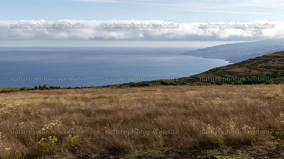 Meadow landscape over Atlantic coast in Portugal – nature photos 10608x5938